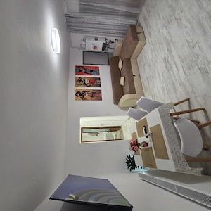Apartament Florina lux regim hotelier - imagine 4