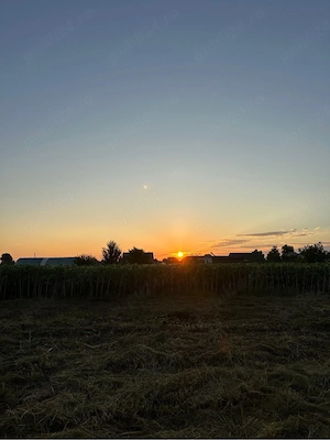 Teren intravilan 610 mp | Deschidere 46 m | Puț forat & Nivelat | Ciofliceni - Snagov - imagine 7