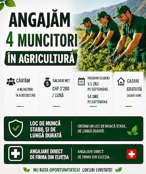 Angajăm 4 muncitori în agricultură in Elveția