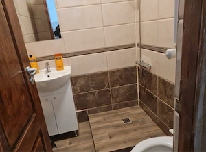 Apartament 1 camera - imagine 4