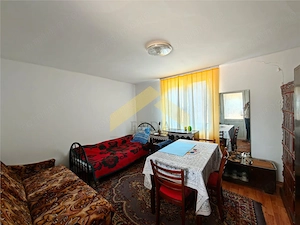 Casa cu teren 2504 mp de vanzare in localitatea Cuias, comuna Savarsin - imagine 3