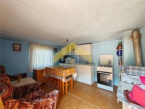 Casa cu teren 2504 mp de vanzare in localitatea Cuias, comuna Savarsin - imagine 5