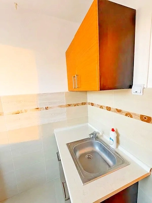 De închiriat: Apartament 1 cameră   Complexul Studențesc - imagine 7