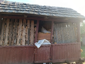 Vand     porumb  1Ron,kg