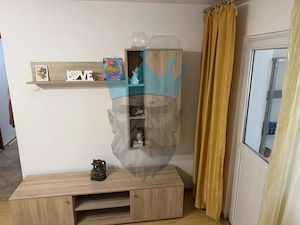  Apartament 2 Camere Blvd. Basarabia-Arena Nationala Bucuresti - imagine 6