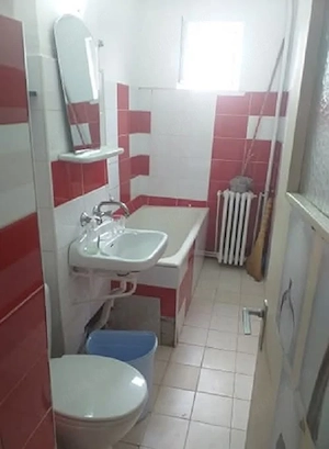 Alexandru Cel Bun Parcul Voievozilor apartament 2 camere 48 mp cj CT - imagine 2