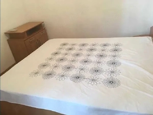 Alexandru Cel Bun Parcul Voievozilor apartament 2 camere 48 mp cj CT - imagine 6