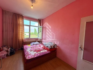 Apartament cu 1 camera de vanzare , etaj intermediar, Blascovici - imagine 2