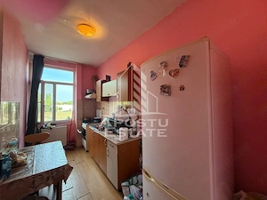 Apartament cu 1 camera de vanzare , etaj intermediar, Blascovici - imagine 6