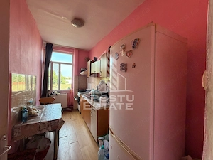 Apartament cu 1 camera de vanzare , etaj intermediar, Blascovici - imagine 5