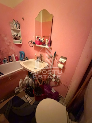 Apartament cu 1 camera de vanzare , etaj intermediar, Blascovici - imagine 7