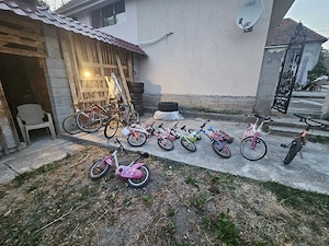biciclete 