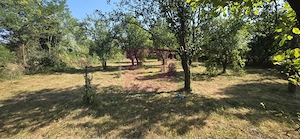 Teren intravilan de vanzare 3375 mp in Brebu - imagine 4