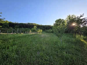Casă spațioasă – Micești, Argeș, teren generos 2.500 mp, COMISION 0% - imagine 17