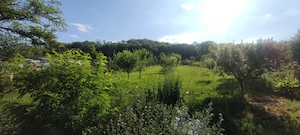 Casă spațioasă – Micești, Argeș, teren generos 2.500 mp, COMISION 0% - imagine 7