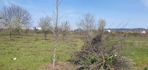 TEREN INTRAVILAN 500 mp – MĂRĂCINENI, ARGEȘ - imagine 3