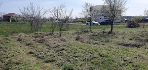 TEREN INTRAVILAN 500 mp – MĂRĂCINENI, ARGEȘ - imagine 4