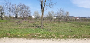 TEREN INTRAVILAN 500 mp – MĂRĂCINENI, ARGEȘ - imagine 6