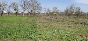 TEREN INTRAVILAN 500 mp – MĂRĂCINENI, ARGEȘ - imagine 5