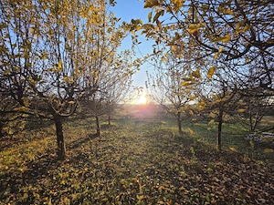 CASĂ P+E+M, 2340 mp teren - VALEA MĂRULUI - imagine 17