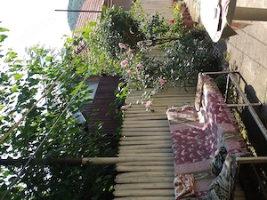 Casa in Cocorastii Caplii, jud Prahova, la 5 km de Campina - imagine 3