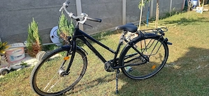 Bicicleta adult
