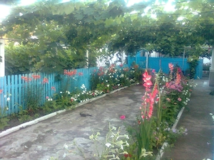 vand casa teren 1853mp Sarichioi, Tulcea - imagine 6