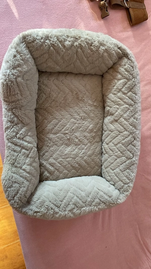 Catelusa bichon maltez  - imagine 3