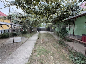 Casa individuala, 60 mp, teren 1500 mp, zona Hida - imagine 12