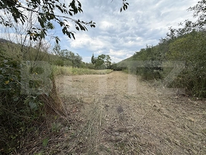 Casa individuala, 60 mp, teren 1500 mp, zona Hida - imagine 13