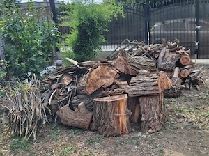 Lemne pentru foc
