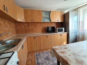 Casa la tara - teren 2826 mp, acces auto, in Sacadat, Bihor - imagine 10