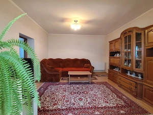 Casa la tara - teren 2826 mp, acces auto, in Sacadat, Bihor - imagine 4