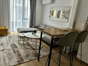 Apartament 2 camere Unirii   complex Carmen Sylva - imagine 11