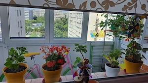 2 camere | 66 mp | vis-a-vis de parklake | 625   - imagine 3