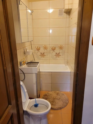 Apartament cu 2 camere de inchiriat in Complexul Studentesc langa Facultatea de Drept - imagine 8