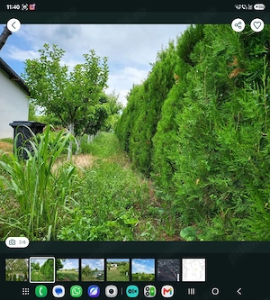 Teren Intravilan  BILATERAL 5. 800  m2   sistem fotowoltaic  - imagine 5