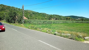 Teren intravilan 14.5 Arii - imagine 2