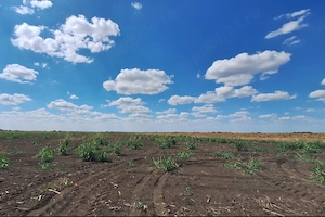 Teren agricol Șimand - imagine 3