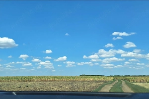 Teren agricol Șimand - imagine 2