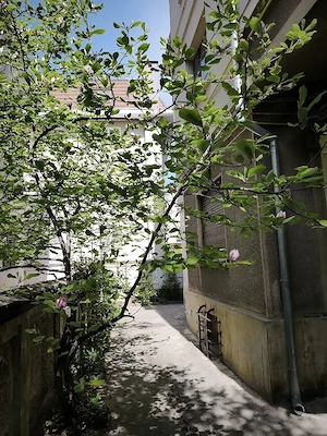 garsoniera cochetă Cotroceni, parter p+2, 27 mp - imagine 5