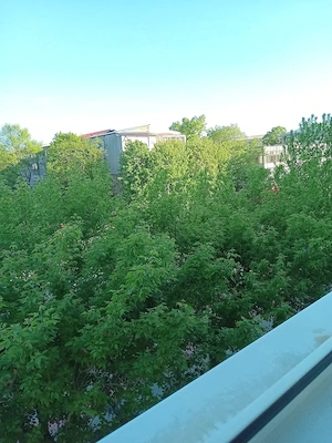Apartament de vanzare - imagine 7
