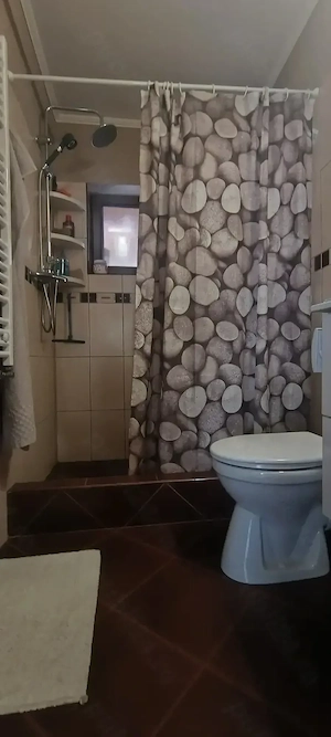 Casa de vânzare în București, sector 2 - imagine 2