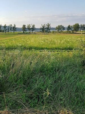 vand teren Lac Surduc - imagine 2
