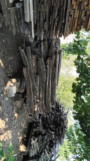 Lemn de salcâm foarte uscat, pentru foc, 250lei m ster,  400lei m , salcâm uscat   