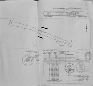 Livadă Tânără pe Rod + Teren Intravilan 9.177 mp la Asfalt   Ceretu (Dănicei) - imagine 8