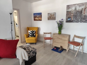 Apartament un Magnolia - imagine 3