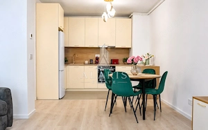Apartament cu 2 camere, open space, zona Lipovei - imagine 5