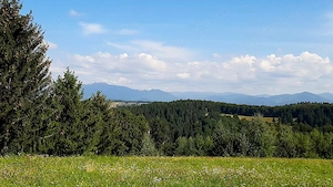 Teren cu PUZ, 11600mp, Brașov Poiana Mărului, pe ruta via Transilvanica - imagine 4