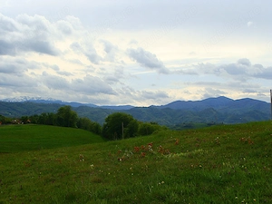 Teren cu PUZ, 11600mp, Brașov Poiana Mărului, pe ruta via Transilvanica - imagine 10
